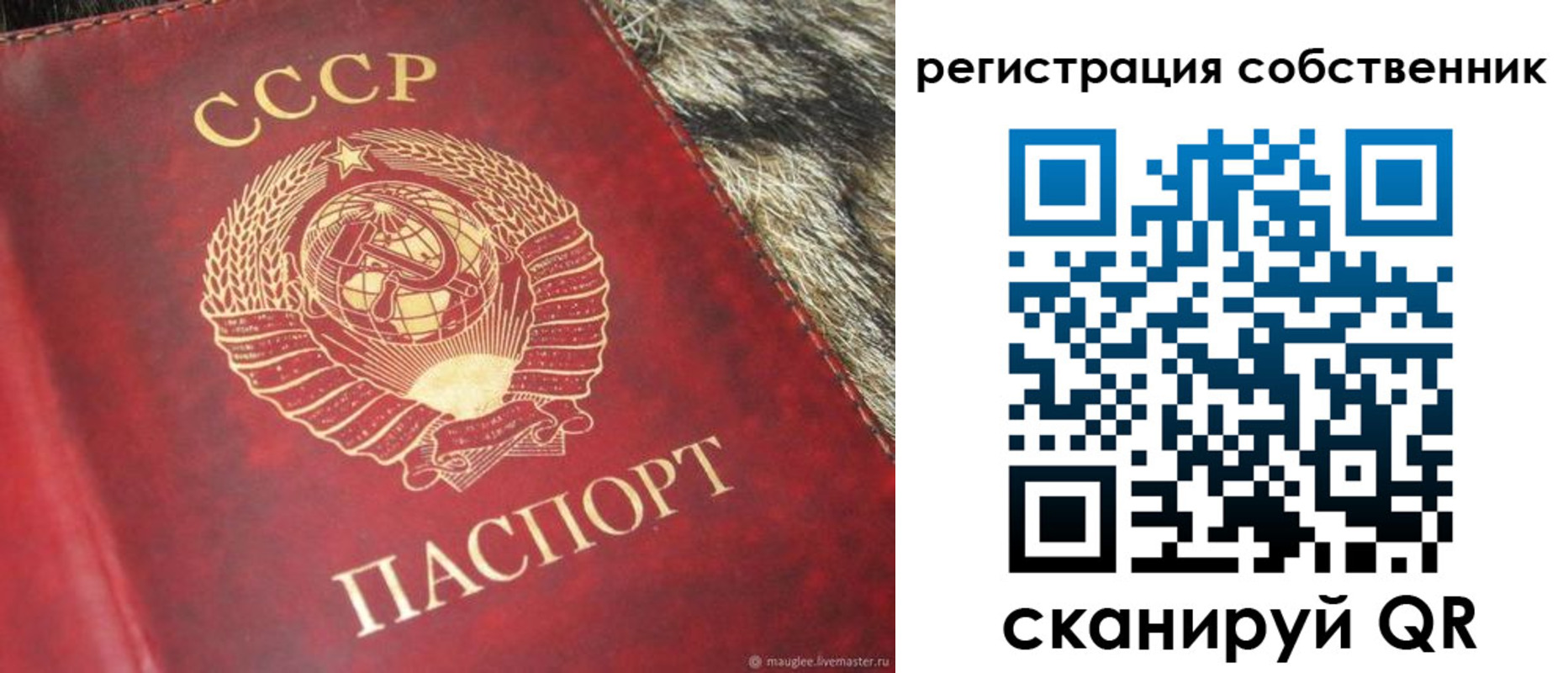 временная регистрация надежно в Карабаново